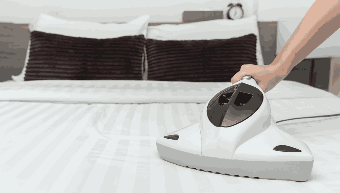 Professional Mattress Cleaning Delacombe